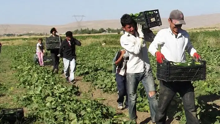 6 milyarlık destekleme ödemeleri hesaplarda! Bakın kimler yararlanacak