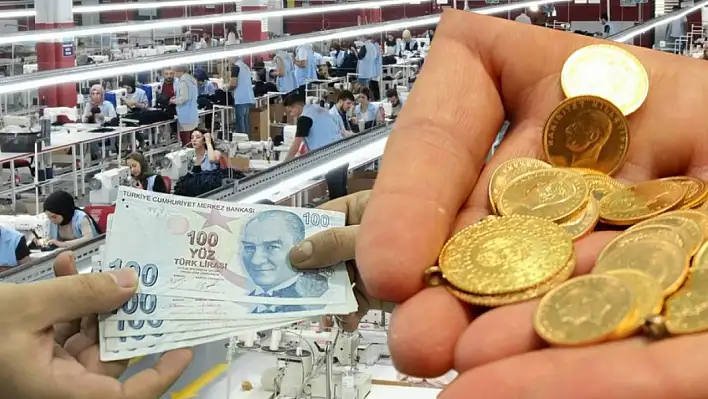 7 milyon kişiyi ilgilendiriyor! Altın karşısında yüzde 40'tan fazla değer kaybetti!