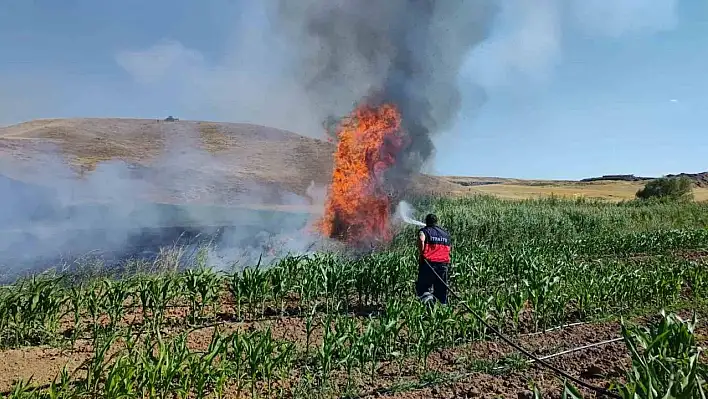 Yangın 70 dönüm alanı kül etti