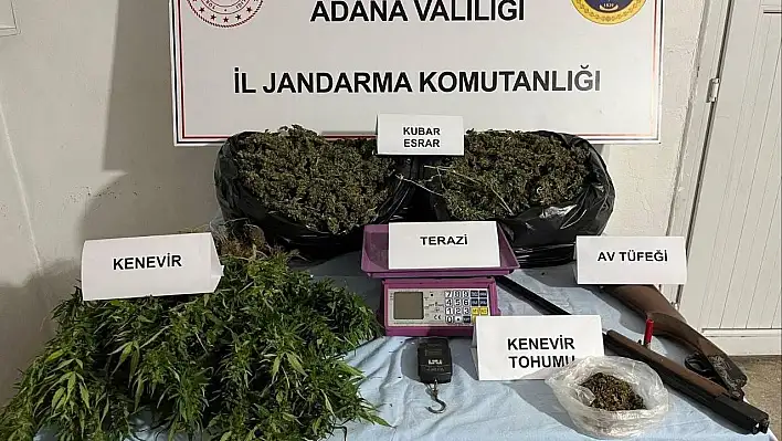 10 kilo esrar, 700 kenevir tohumu ve silah!
