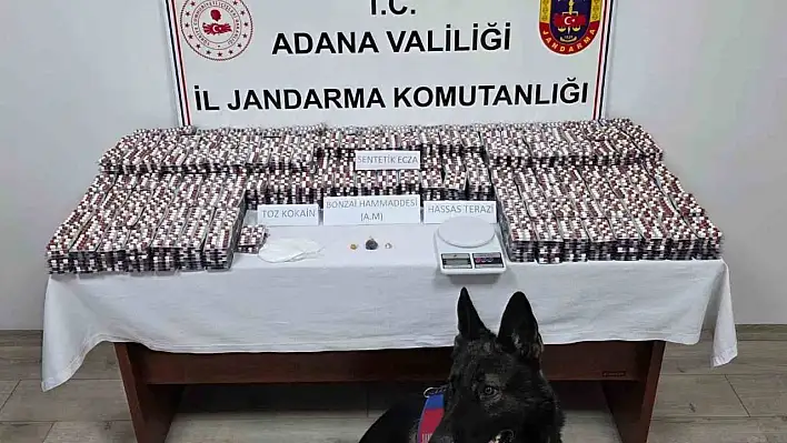 Seyhan'da 20 bine yakın bakın ne ele geçirildi!