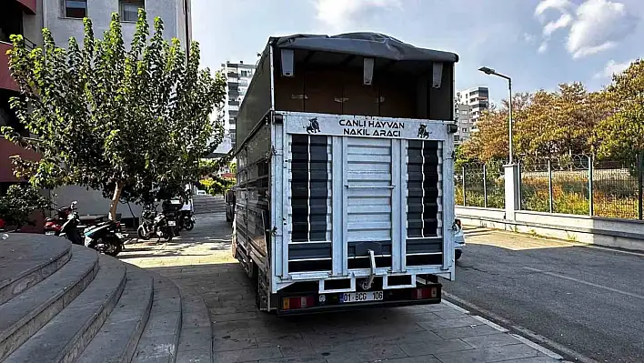 Piyasa değeri tam 30 milyon! Milyonlarca adet ele geçirildi