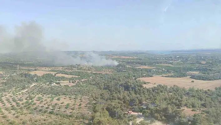 Adana'da korkutan yangın!