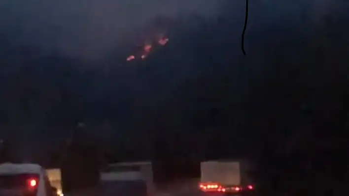 Adana'da iki noktada orman yangını