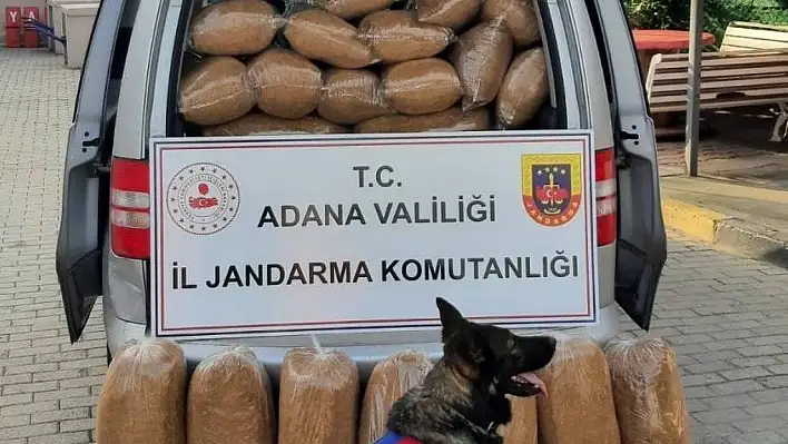 Adana'da kaçak 255 kilogram tütün ele geçirildi