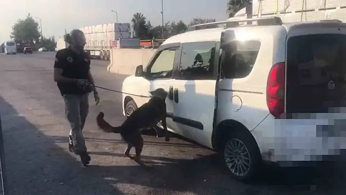 Narkotik köpeği 'Aşil' ile yapılan aramada 11 kilo ele geçirildi