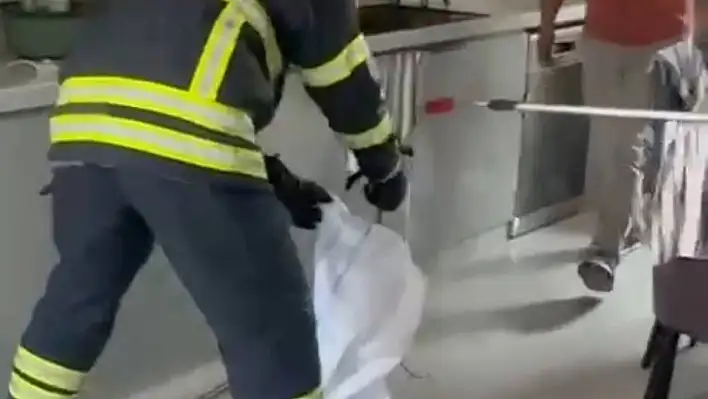 Mutfaktan çıkan yılan paniğe yol açtı