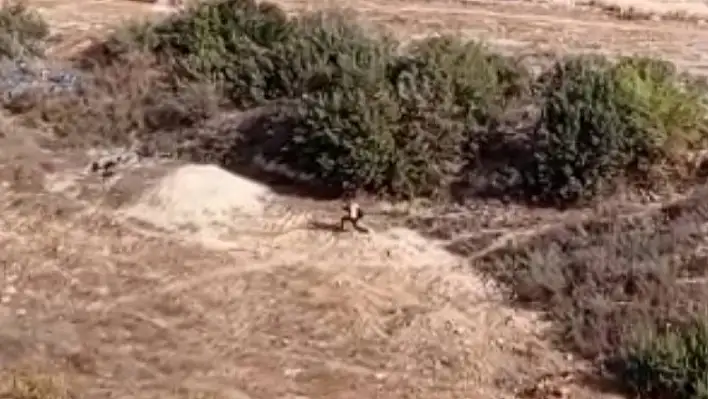 Nefes kesen operasyon! Firari hükümlü bakın nasıl yakalandı?