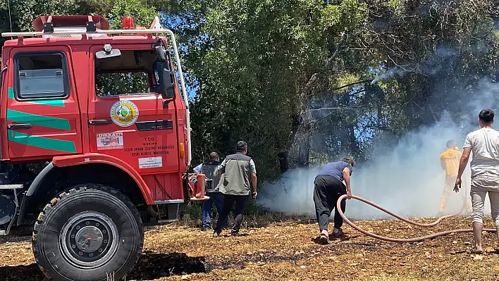 Ormanlık alandaki yangın kontrol altında