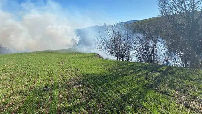 Ormanlık alanda yangın