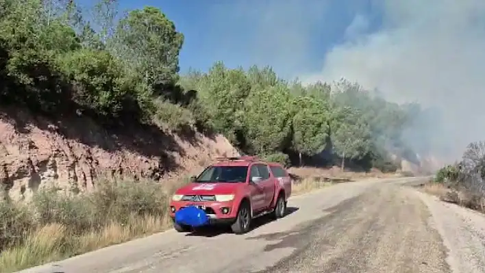 Adana'da orman yangını
