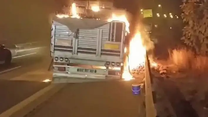 Adana'da otoyolda domates yüklü tır alevlere teslim oldu