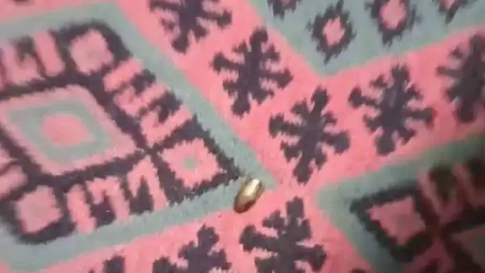 Yorgun mermi, ailenin oturduğu çardağa isabet etti
