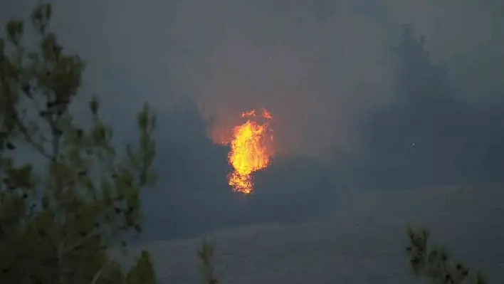 Adana'daki orman yangını devam ediyor