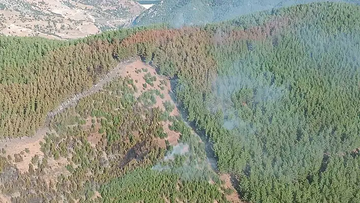 Adana'daki orman yangını kontrol altına alındı