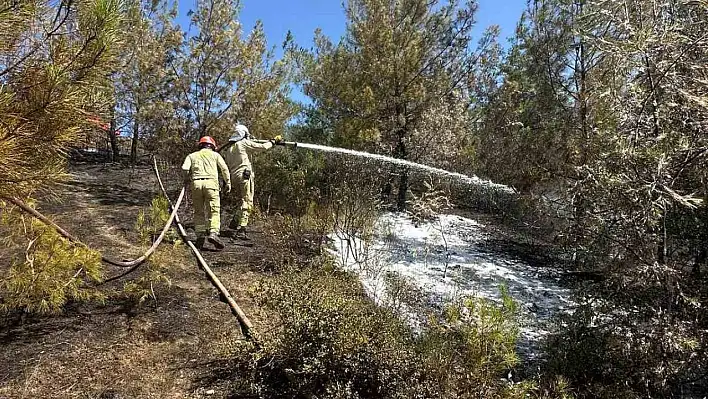 Adana'daki yangın kontrol altına alındı