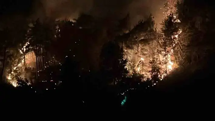 Kozan'da orman yangını