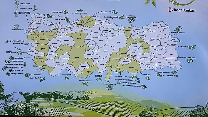 Afyonlular, Kayseri ve Kastamonululara böyle hava atıyor