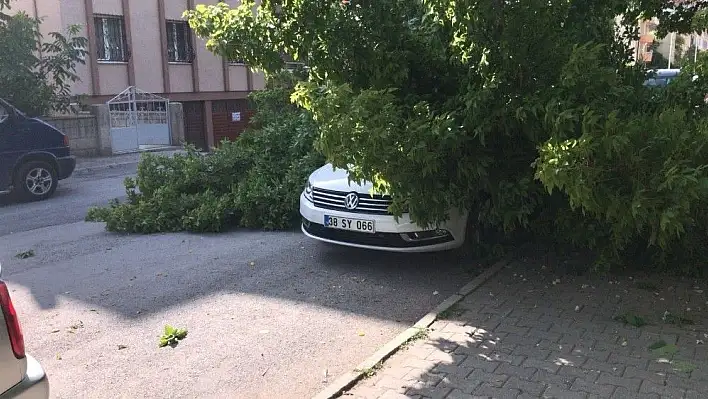 Gördükleri manzara karşısında şaşkınlık yaşadılar