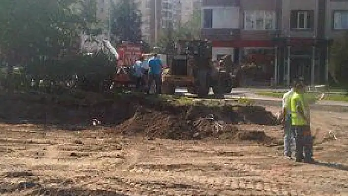 AĞAÇLAR YOL KURBANI