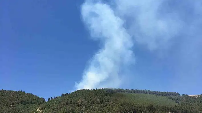 Ahır Dağı'nda yangın