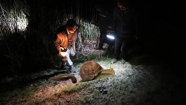 AK Partili vekilden sülük, kurbağa ve salyangoz uyarısı! Kayseri'de de var