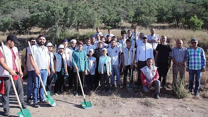 Ali Dağı'nda ağaçlandırma çalışmaları sürüyor