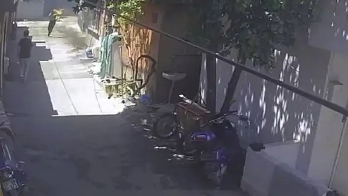 Amcanın yeğenini yaktığı olayda yeni gelişme