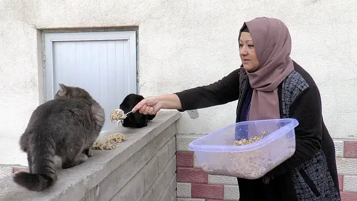 Ana kız sokak hayvanlarına kol kanat gerdi