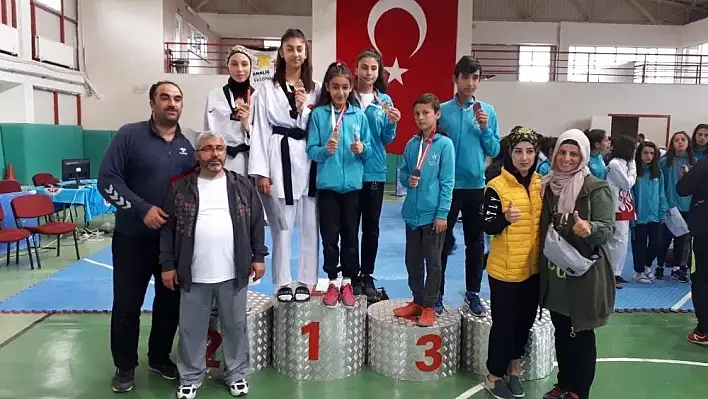 Analig Taekwondo'da Kayseri Farkı