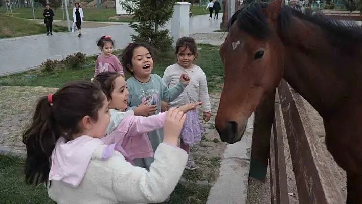 Ara tatilde hayvanat bahçesi ilgi görüyor...