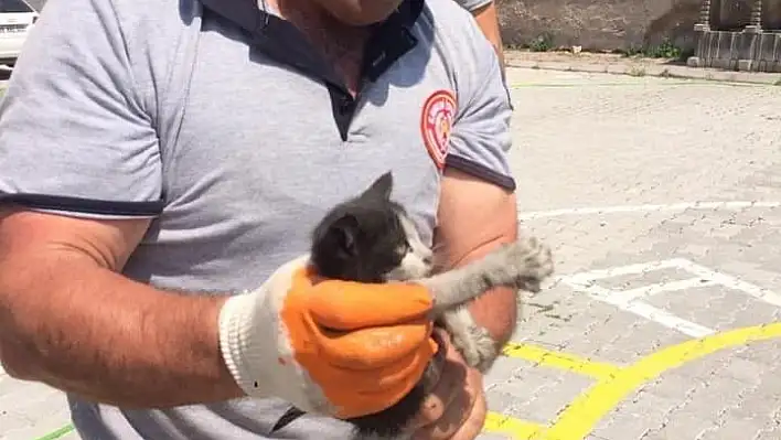 Aracın motor kısmına giren kedi itfaiye ekipleri tarafından çıkarıldı
