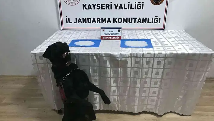 Narkotik köpeği uyuşturucu bakın nasıl buldu?