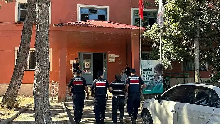 Arıcının dikkatsizliği ormanı küle çevirdi