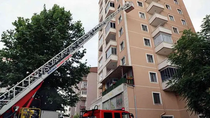 Beyaz masaya gelen arı ihbarı ekipleri harekete geçirdi...