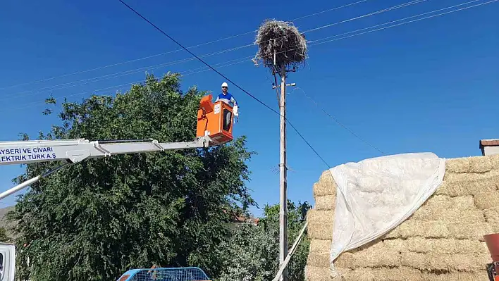 Doğa Koruma ve Milli Park Müdürlüğü'nden leylek operasyonu!