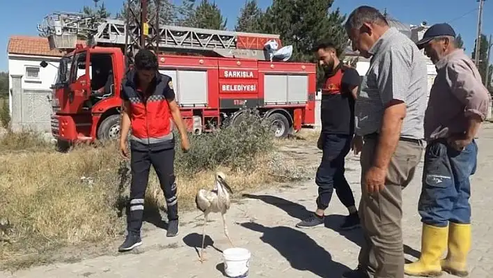 Ayağına ip dolanan leyleği itfaiye ekipleri kurtardı