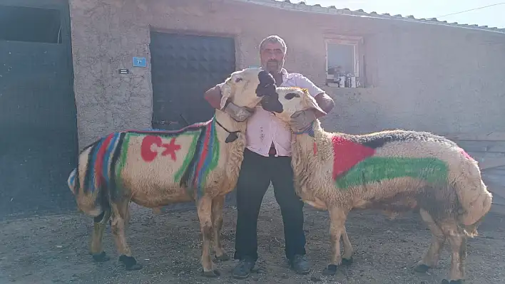 Aylarca bakılan koçlar dualarla sürüye uğurlandı