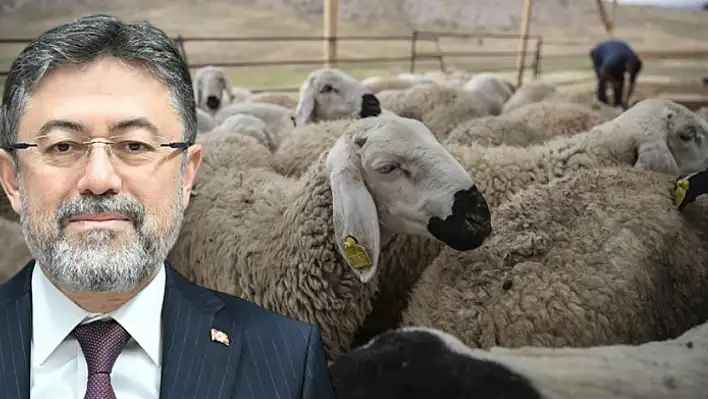Bakan açıkladı: ESK kalan kurbanlıkları alıyor, işte alım fiyatları