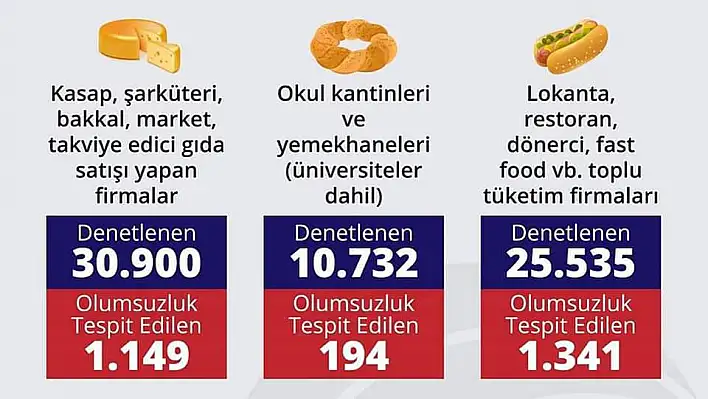 Bakanlık açıkladı! Gıda denetimlerinde kaç firmada olumsuzluk tespit edildi?