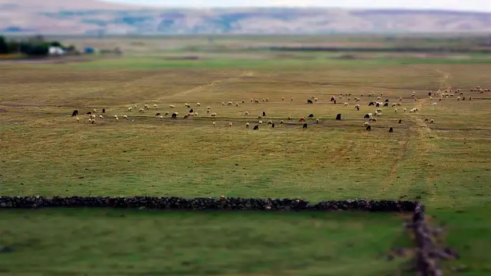 Bakanlık açıkladı! O bölge için bakın Kayseri'ye hangi tavsiyede bulunulmuş?