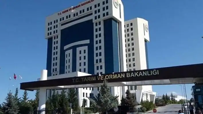 Bakanlık açıkladı: Ödemeler başladı