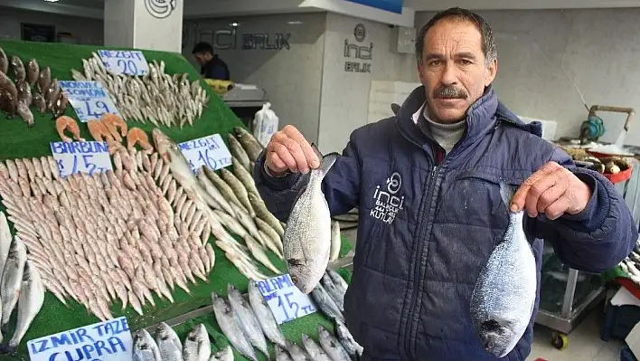 Balıkçı Kutay Yılmaz: 'Hamsi az çıkınca, işlerimiz azaldı'