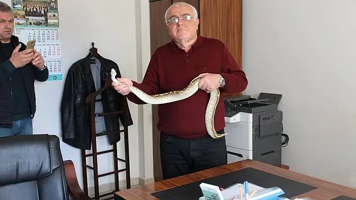 Ball Python Kayseri Hayvanat Bahçesine Teslim Edildi