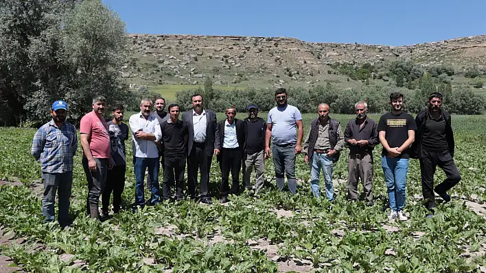 Baraj kapakları açıldı, tarım arazileri sular altında