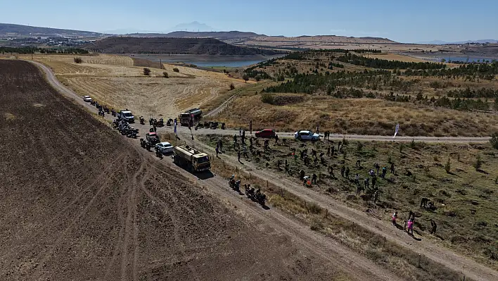 Baraj kenarında bin 500 fidan dikildi!