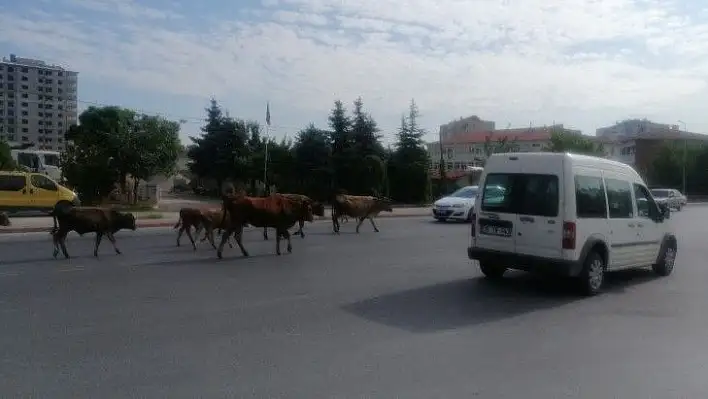 Sürücüler zor anlar yaşadı