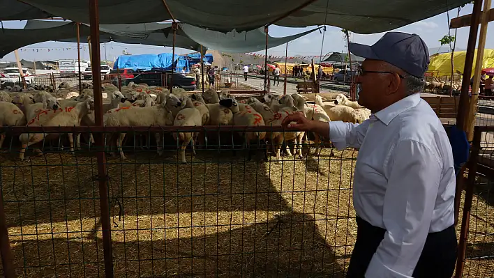 Başkan Büyükkılıç, kurban pazarı'nda