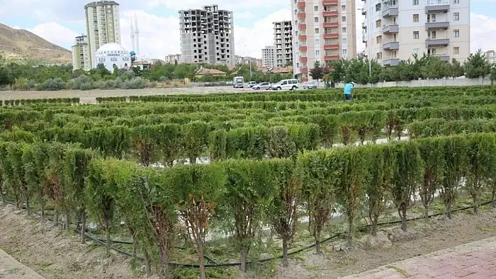 Başkan Büyükkılıç Labirent Parkı'nda
