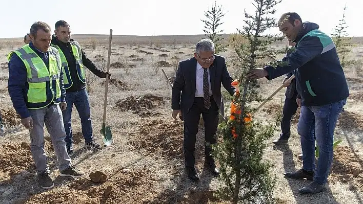 Başkan Büyükkılıç 38 bin fidan bağışladı